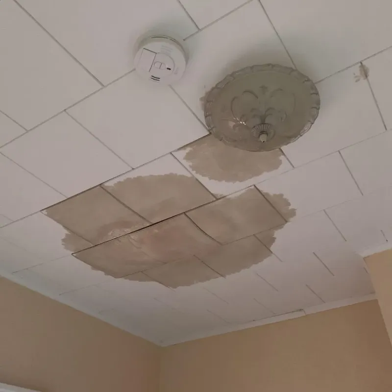 Ceiling Water Damage Repair in Hollis Center, ME