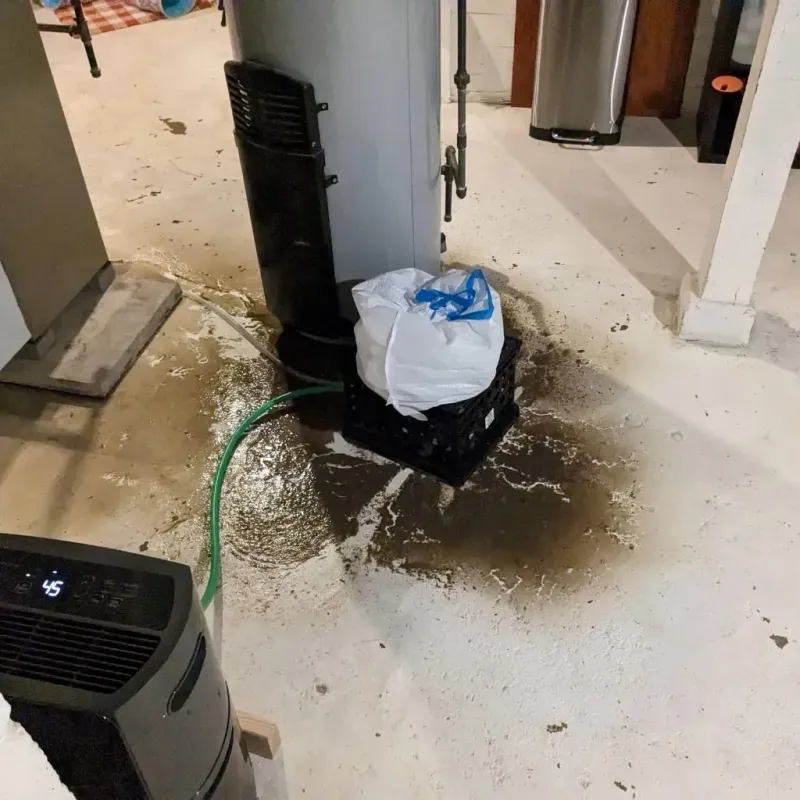Sewage Backup Cleanup Service in Hollis Center, ME